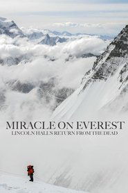 Imagen de Miracle on Everest
