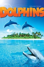IMAX Nature - Le Dauphin