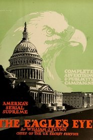 Film The Eagle's Eye streaming VF complet