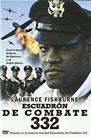 Imagen de Escuadrón de combate 332