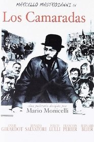 Imagen de Los Camaradas