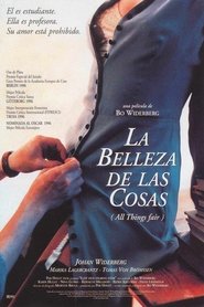 Imagen de La belleza de las cosas