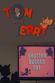 Imagen de Shutter Bugged Cat
