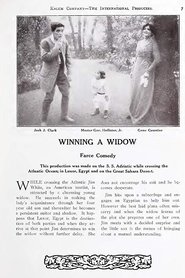 Film Winning a Widow streaming VF complet