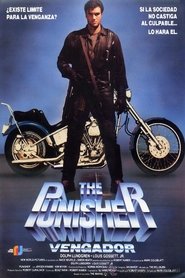 Imagen de The Punisher (Vengador)