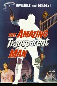 Film The Amazing Transparent Man streaming VF complet