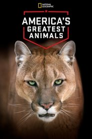 Film America's Greatest Animals streaming VF complet
