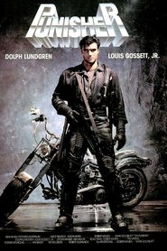 Film Punisher streaming VF complet