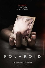 Polaroid 2019
