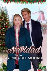 Imagen de Navidad en la avenida del molino