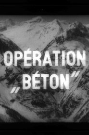 Opération 'Béton'