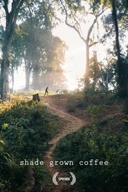 Shade Grown Coffee