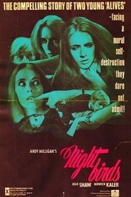 Film Nightbirds streaming VF complet