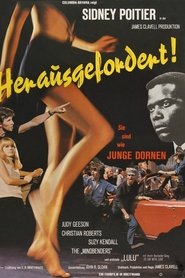 Junge Dornen 1967