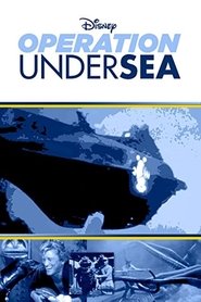 Poster of undefined