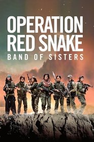 Imagen de Sisters in Arms