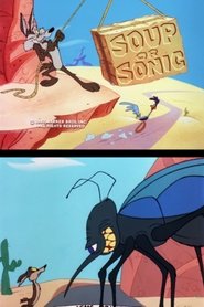 Imagen de El Coyote y el Correcaminos: Soup or Sonic