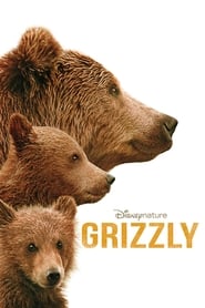 Film Grizzly streaming VF complet