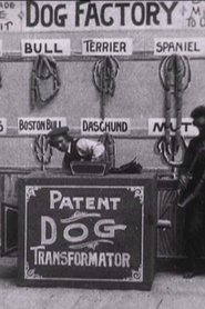 Film Dog Factory streaming VF complet