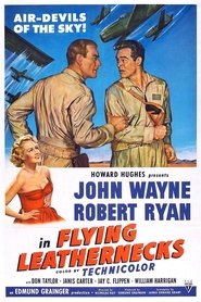 Film Les Diables de Guadalcanal streaming VF complet