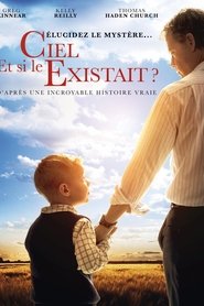 Et si le ciel existait ? 2016