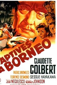 Film Three Came Home streaming VF complet