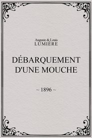 Film Débarquement d'une mouche streaming VF complet