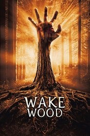 Imagen de Wake Wood