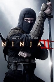 Ninja II : Shadow of a Tear