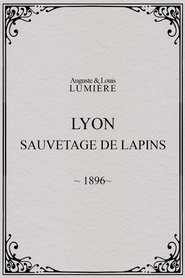 Film Lyon, sauvetage de lapins; innondations streaming VF complet