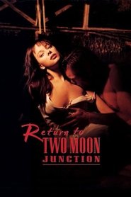 Imagen de Return to Two Moon Junction