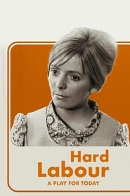 Film Hard Labour streaming VF complet
