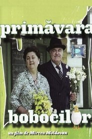 Film Primăvara Bobocilor streaming VF complet