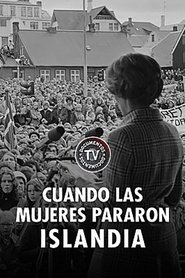 Imagen de Cuando las mujeres pararon Islandia