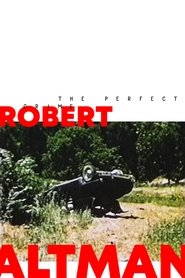 Film The Perfect Crime streaming VF complet