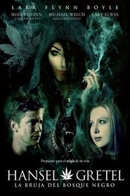 Imagen de Hansel y Gretel: La bruja del Bosque Negro