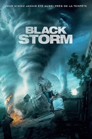 Film Black Storm streaming VF complet