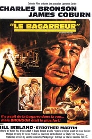 Film Le Bagarreur streaming VF complet