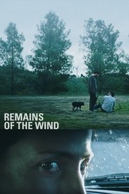 Imagen de Remains of the Wind