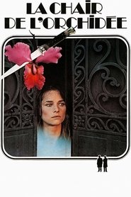 Poster of undefined