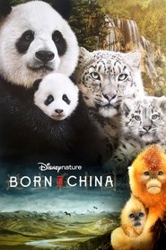 Born in China 2017