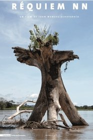 Imagen de Réquiem NN