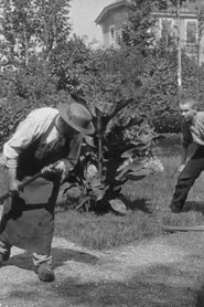 Arroseur et arrosé, [II] streaming sur filmcomplet