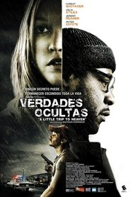 Imagen de Verdades ocultas
