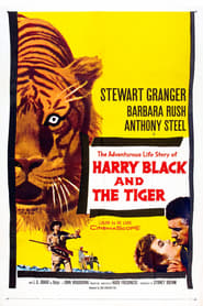 Film Harry Black and the Tiger streaming VF complet