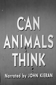 Can Animals Think streaming sur filmcomplet