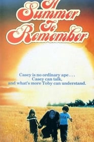 Film A Summer to Remember streaming VF complet