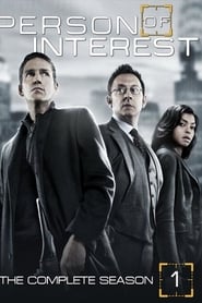 Person of Interest streaming sur filmcomplet