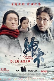 Film Coming Home streaming VF complet