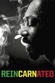 Film Reincarnated streaming VF complet